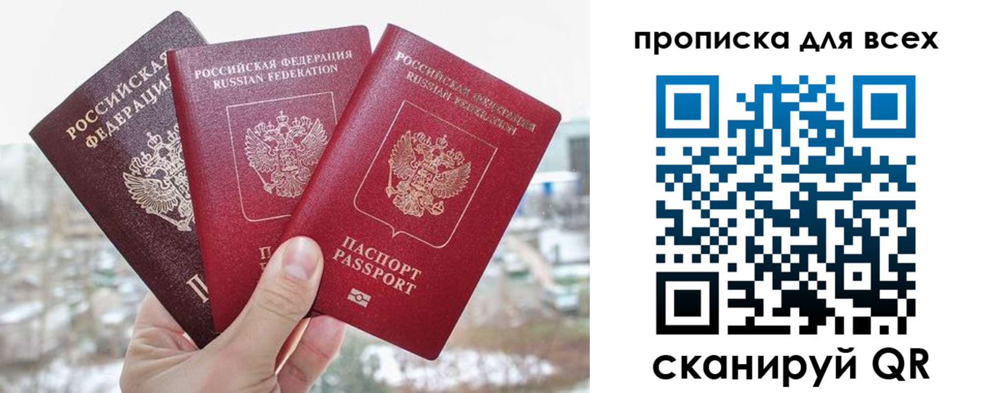 прописка гарантия в Краснодаре